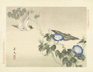 Matsumura Keibun - Japanese morning glory and Eurasian siskin.webp
