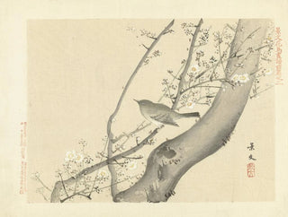 Prunier e usignolo giapponese - Matsumura Keibun — vista dell’opera