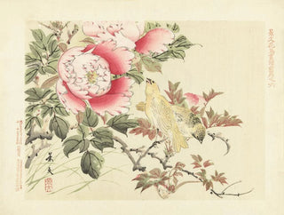 Peonia arborea e canarino - Matsumura Keibun — vista dell’opera