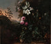 Nature morte - Matthias Withoos — vista dell’opera
