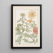 Chrysanthème - Maurice Pillard Verneuil — quadro incorniciato alla parete