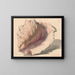 Schelp - Maurits van der Valk — quadro incorniciato alla parete