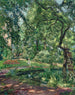 Giardino a Godramstein con un albero invaso dalla vegetazione e uno stagno - Max Slevogt — vista dell’opera