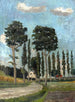 Allée dans la regione di Dachau - Max Zettler — vista dell’opera