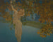 Rêveries - Maxfield Parrish — vista dell’opera