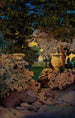 Les chênes - Maxfield Parrish — vista dell’opera