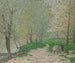 Primavera a Champigny-sur-Marne - Maxime Maufra — vista dell’opera