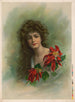 Poinsettia - Meek & Co.. — vista dell’opera