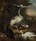 Uccelli - Melchior d'Hondecoeter — vista dell’opera