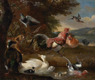 Polli e anatre - Melchior d'Hondecoeter — vista dell’opera