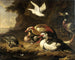Anatre - Melchior d'Hondecoeter — vista dell’opera