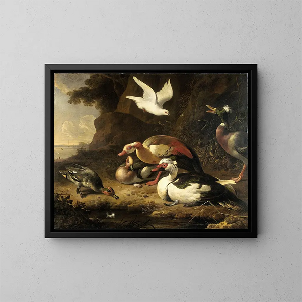 Anatre - Melchior d'Hondecoeter — quadro incorniciato alla parete