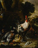 Anatre, galline e altre pollame in un cortile - Melchior d'Hondecoeter — vista dell’opera
