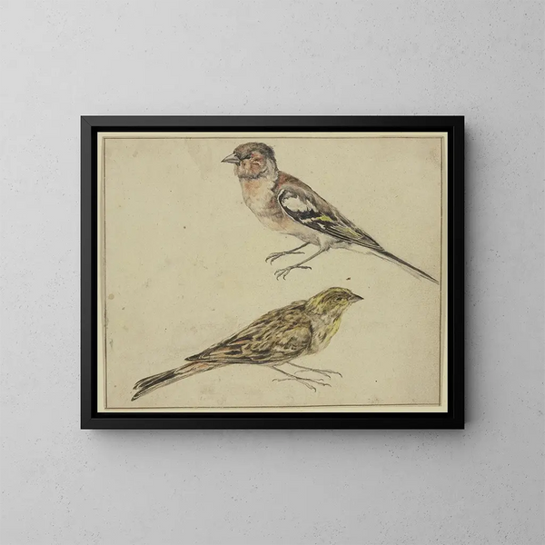 Un cardellino e un fringuello - Melchior d'Hondecoeter — quadro incorniciato alla parete
