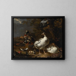 Melchior dHondecoeter - Geese and Ducks.webp