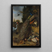 Paons - Melchior d'Hondecoeter — quadro incorniciato alla parete