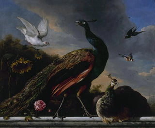 Melchior dHondecoeter - Peacocks male and female.webp