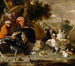 Corte della cortile - Melchior d'Hondecoeter — vista dell’opera