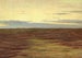 Tramonto sullo scoglio a sud di Skagen - Michael Ancher — vista dell’opera