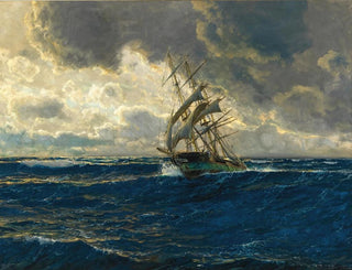 Un tre-mast in mare - Michael Zeno Diemer — vista dell’opera