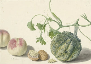 Michiel van Huysum - Kalebas twee perziken en een walnoot.webp