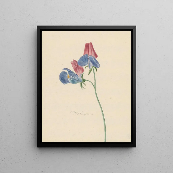 Michiel van Huysum - Tak met twee bloemen.webp