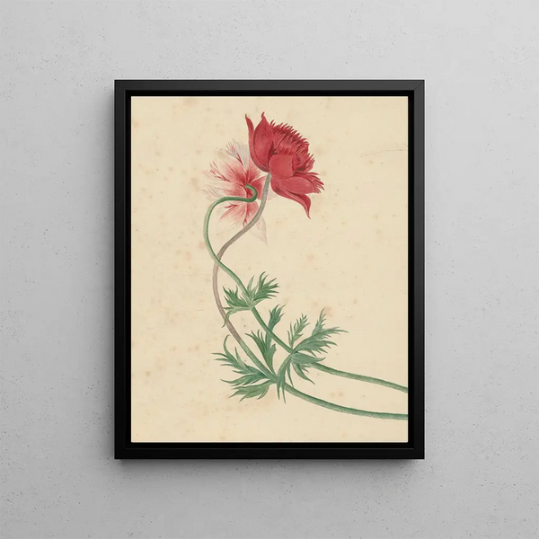 Michiel van Huysum - Twee takken met elk een bloem.webp