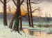Paesaggio di ruscello innevato - Mieczysław Korwin Piotrowski — vista dell’opera