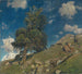 Monte Rosa e abeti - Eugen Bracht — vista dell’opera