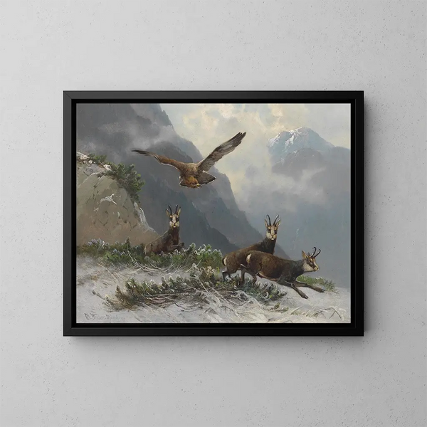 Camoscio nelle alte montagne - Moritz Müller — quadro incorniciato alla parete