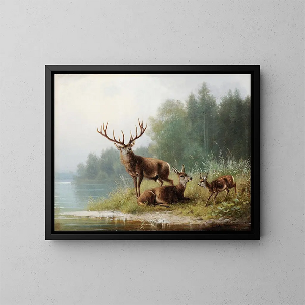 Cervo al bordo di un lago - Moritz Müller — quadro incorniciato alla parete