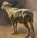 Mouton - Christian Mali — vista dell’opera