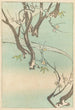 Shin zuan Pl 06 - Nakayasu Shinzaburō — vista dell’opera