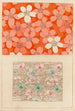 Shin zuan Pl09 - Nakayasu Shinzaburō — vista dell’opera