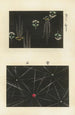 Shin zuan Pl 14 - Nakayasu Shinzaburō — vista dell’opera