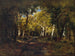 Nella foresta - Narcisse Virgile Diaz de la Peña — vista dell’opera