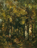 Nella foresta di Fontainebleau - Narcisse Virgile Diaz de la Peña — vista dell’opera