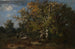 Paesaggistico nella foresta autunnale - Narcisse Virgile Diaz de la Peña — vista dell’opera