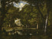 stagno tra gli alberi - Narcisse Virgile Diaz de la Peña — vista dell’opera