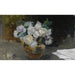 Riproduzione del dipinto Nature morte aux roses blanches - Joaquín Sorolla