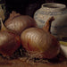 Nature morte con cipolle - Eugène Jansson — vista dell’opera