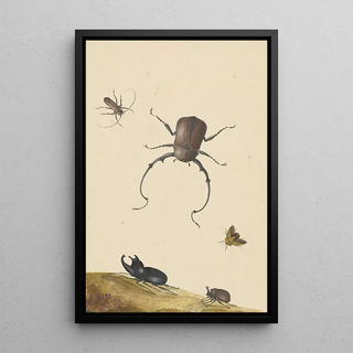 Nicolaas Struyk - Four Beetles and a Flying Stink Bug.webp