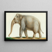 Un elefante indiano - Nicolas Huet il Giovane — quadro incorniciato alla parete