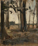Lisière di foresta - Nikolai Triik — vista dell’opera