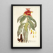 Alpinia comosa - Nikolaus Joseph Freiherr von Jacquin — quadro incorniciato alla parete