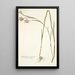 Gladiolus angustus - Nikolaus Joseph Freiherr von Jacquin — quadro incorniciato alla parete