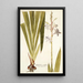 Gladiolus iridifolius - Nikolaus Joseph Freiherr von Jacquin — quadro incorniciato alla parete