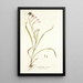 Gladiolus roseus - Nikolaus Joseph Freiherr von Jacquin — quadro incorniciato alla parete