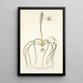 Lachenalia angustifolia - Nikolaus Joseph Freiherr von Jacquin — quadro incorniciato alla parete