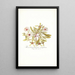 Mesembryanthemum cuneifolium - Nikolaus Joseph Freiherr von Jacquin — quadro incorniciato alla parete